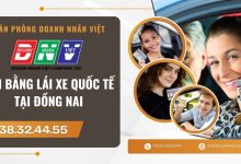 Đổi bằng lái xe quốc tế tại Đồng Nai