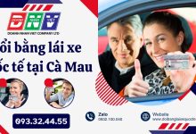Đổi bằng lái xe quốc tế tại Cà Mau