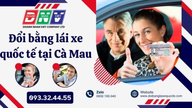 Đổi bằng lái xe quốc tế tại Cà Mau