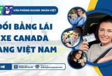 Đổi bằng lái xe Canada sang Việt Nam