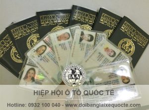 Cấp bằng lái xe quốc tế online qua mạng