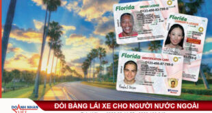 Chuyển đổi bằng lái xe cho người nước ngoài tại Việt Nam