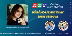 Đổi bằng lái xe ô tô Mỹ sang Việt Nam