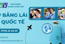 Cấp bằng lái xe quốc tế