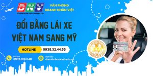 Đổi bằng lái xe Việt Nam sang Mỹ