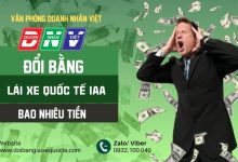 Đổi bằng lái xe quốc tế IAA bao nhiêu tiền ?