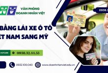 Đổi bằng lái xe ô tô Việt Nam sang Mỹ