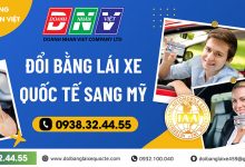 Đổi bằng lái xe quốc tế sang Mỹ