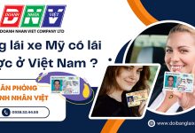 Bằng lái xe mỹ có lái được ở Việt Nam