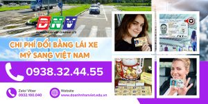 Chi phí đổi bằng lái xe Mỹ sang Việt Nam