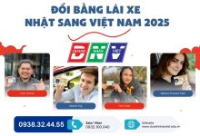 Đổi bằng lái xe Nhật sang Việt Nam 2025