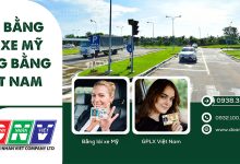 Đổi bằng lái xe Mỹ sang bằng Việt Nam