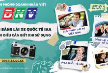 Đổi bằng lái xe quốc tế IAA và 30 điều cần biết