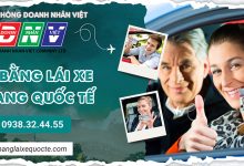 Đổi bằng lái xe B sang quốc tế