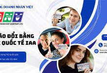 Khi nào đổi bằng lái xe quốc tế IAA