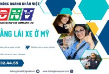 Đổi bằng lái xe ở Mỹ