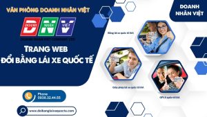 Trang web đổi bằng lái xe quốc tế