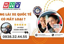 Bằng lái xe quốc tế có mấy loại ?