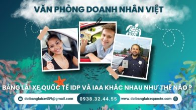 Bằng lái xe quốc tế IDP và IAA khác nhau như thế nào ?