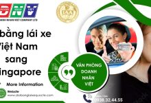 Đổi bằng lái xe Việt Nam sang Singapore