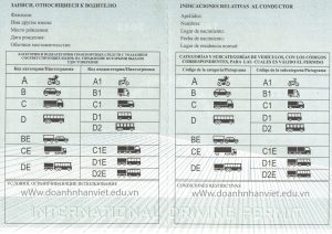 Trang ngôn ngữ mẫu GPLX quốc tế IDP