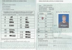 Trang thông tin mẫu bằng lái xe quốc tế IDP