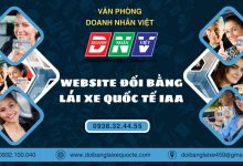Website đổi bằng lái xe quốc tế IAA