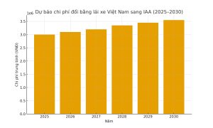 Biểu đồ dự báo chi phí làm bằng lái xe quốc tế IAA giai đoạn 2025–2030
