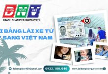 Đổi bằng lái xe từ Mỹ sang Việt Nam