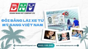 Đổi bằng lái xe từ Mỹ sang Việt Nam