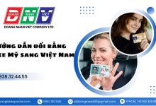 Hướng dẫn đổi bằng lái xe Mỹ sang Việt Nam