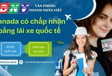 Canada có chấp nhận bằng lái xe quốc tế