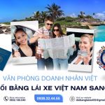 Website đổi bằng lái xe Việt Nam sang quốc tế
