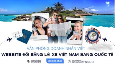 Website đổi bằng lái xe Việt Nam sang quốc tế