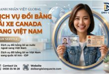 Dịch vụ đổi bằng lái xe Canada sang Việt Nam