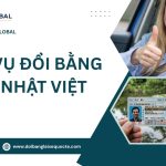 Dịch vụ đổi bằng lái xe Nhật Việt