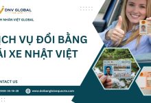 Dịch vụ đổi bằng lái xe Nhật Việt
