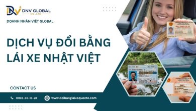 Dịch vụ đổi bằng lái xe Nhật Việt