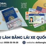 Dịch vụ làm bằng lái xe quốc tế IAA