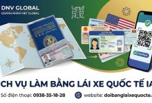 Dịch vụ làm bằng lái xe quốc tế IAA