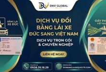 Dịch vụ đổi bằng lái xe Đức sang Việt Nam