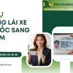 Dịch vụ đổi bằng lái xe Hàn Quốc sang Việt Nam