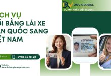 Dịch vụ đổi bằng lái xe Hàn Quốc sang Việt Nam