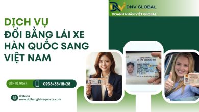 Dịch vụ đổi bằng lái xe Hàn Quốc sang Việt Nam