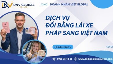 Dịch vụ đổi bằng lái xe Pháp sang Việt Nam
