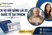 Dịch vụ đổi bằng lái xe quốc tế tại TPHCM