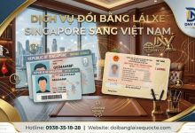 Dịch vụ đổi bằng lái xe Singapore sang Việt Nam