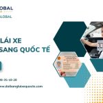 Dịch vụ đổi bằng lái xe Việt Nam sang quốc tế