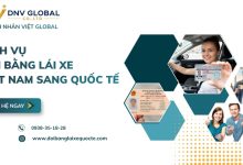 Dịch vụ đổi bằng lái xe Việt Nam sang quốc tế