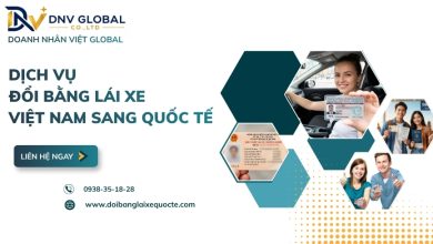 Dịch vụ đổi bằng lái xe Việt Nam sang quốc tế